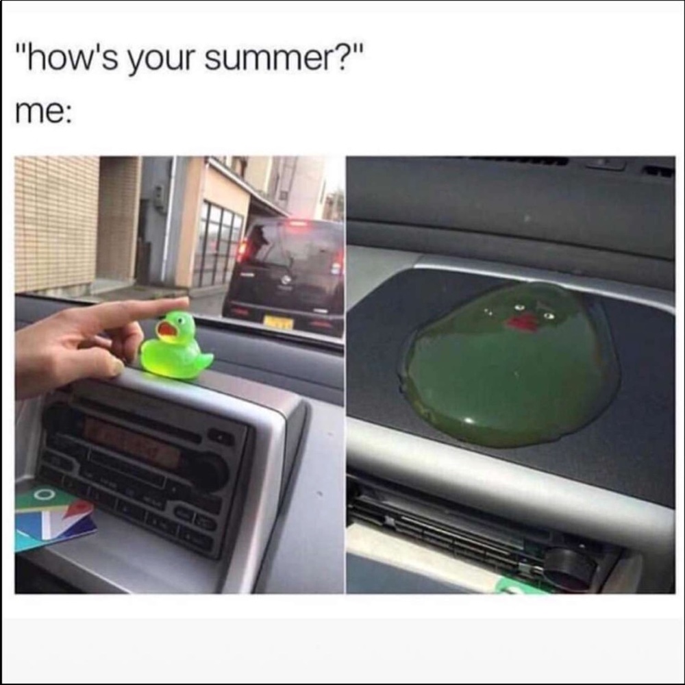 A melted squeaker